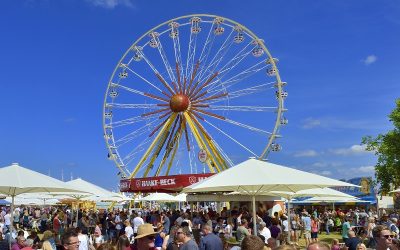 69. Tarmstedter Ausstellung ein voller Erfolg