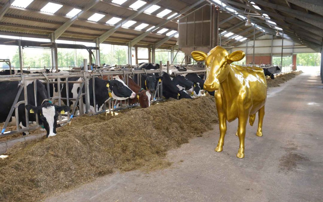 PR-Projekt Milchlandpreis 2020/21