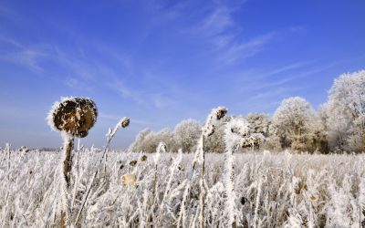 Agrar-Wandkalender 2022: Landwirtschaft prägt Landschaft