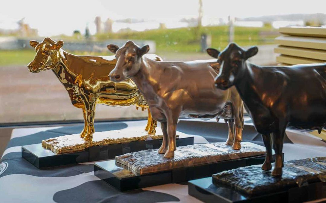 Milchlandpreis: Elf Betriebe im Video-Hofportrait