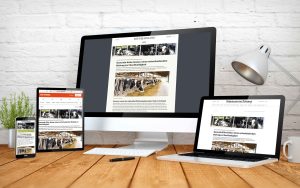 Advertorial Kampagne