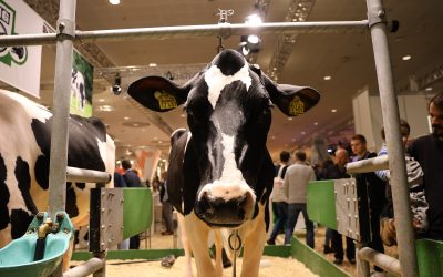 EuroTier 2024: Erfolgreiche Messekommunikation