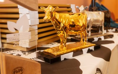 PR-Projekt Milchlandpreis 2024/25: Acht Betriebe im Video-Hofportrait