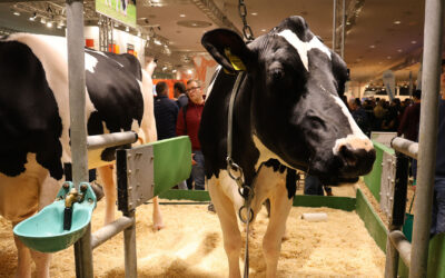 EuroTier 2026: Pressearbeit, PR und Content direkt von der Messe