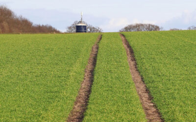 GMC-Marktstudie: Landwirtschaft im Strukturwandel bis 2035